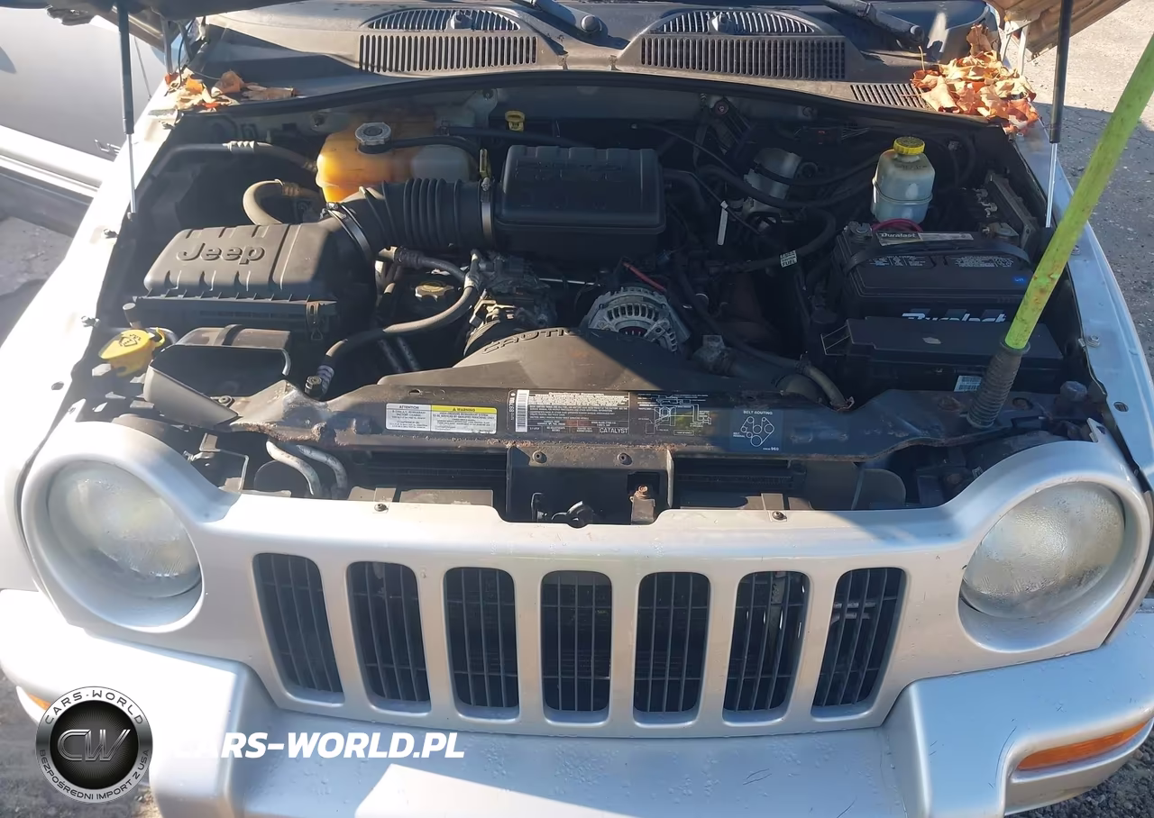 2003 Jeep Liberty Limited Edition VIN:1J4GL58KX3W665833 - 10