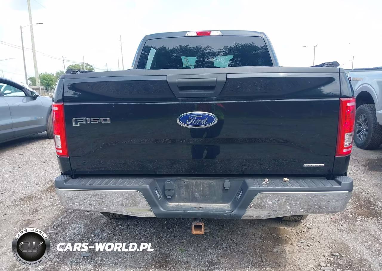 2016 Ford F-150 Xlt VIN:1FTEW1EFXGFA21937 - 16