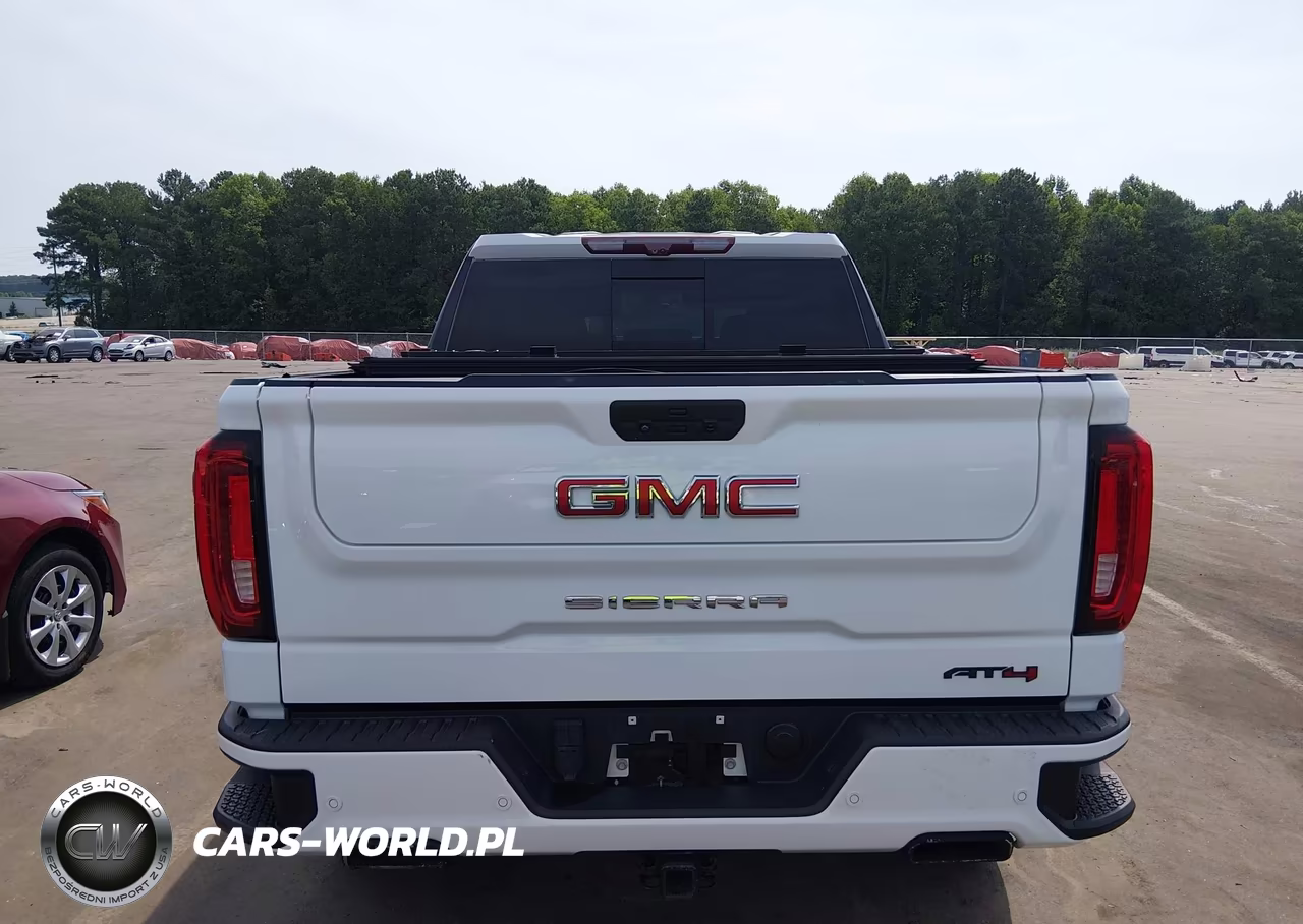 2020 GMC Sierra 1500 4Wd Short Box At4 VIN:1GTP9EEL7LZ222815 - 17