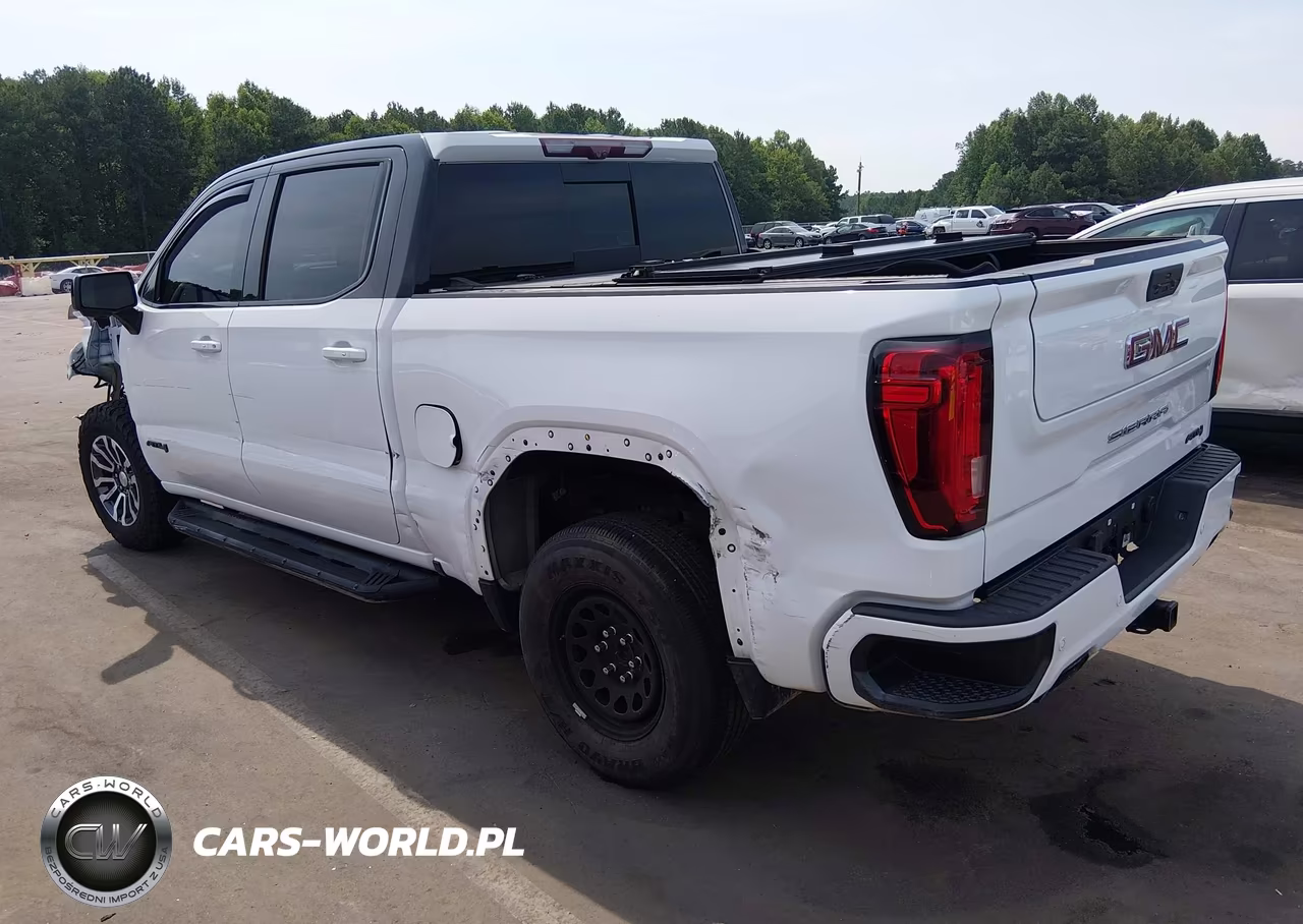2020 GMC Sierra 1500 4Wd Short Box At4 VIN:1GTP9EEL7LZ222815 - 3