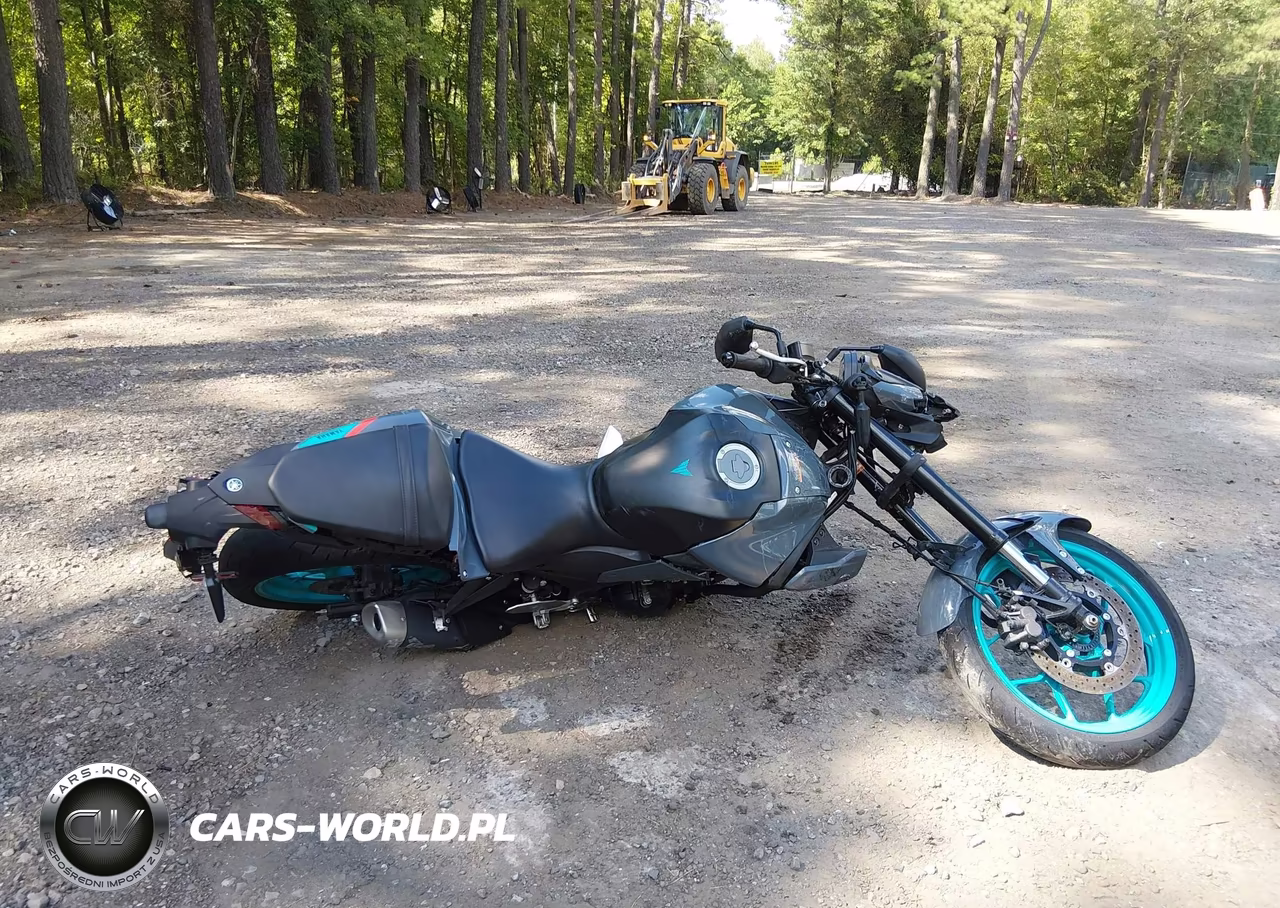 2023 Yamaha Mt-03 VIN:MH3RH20Y1PK009288 - 12