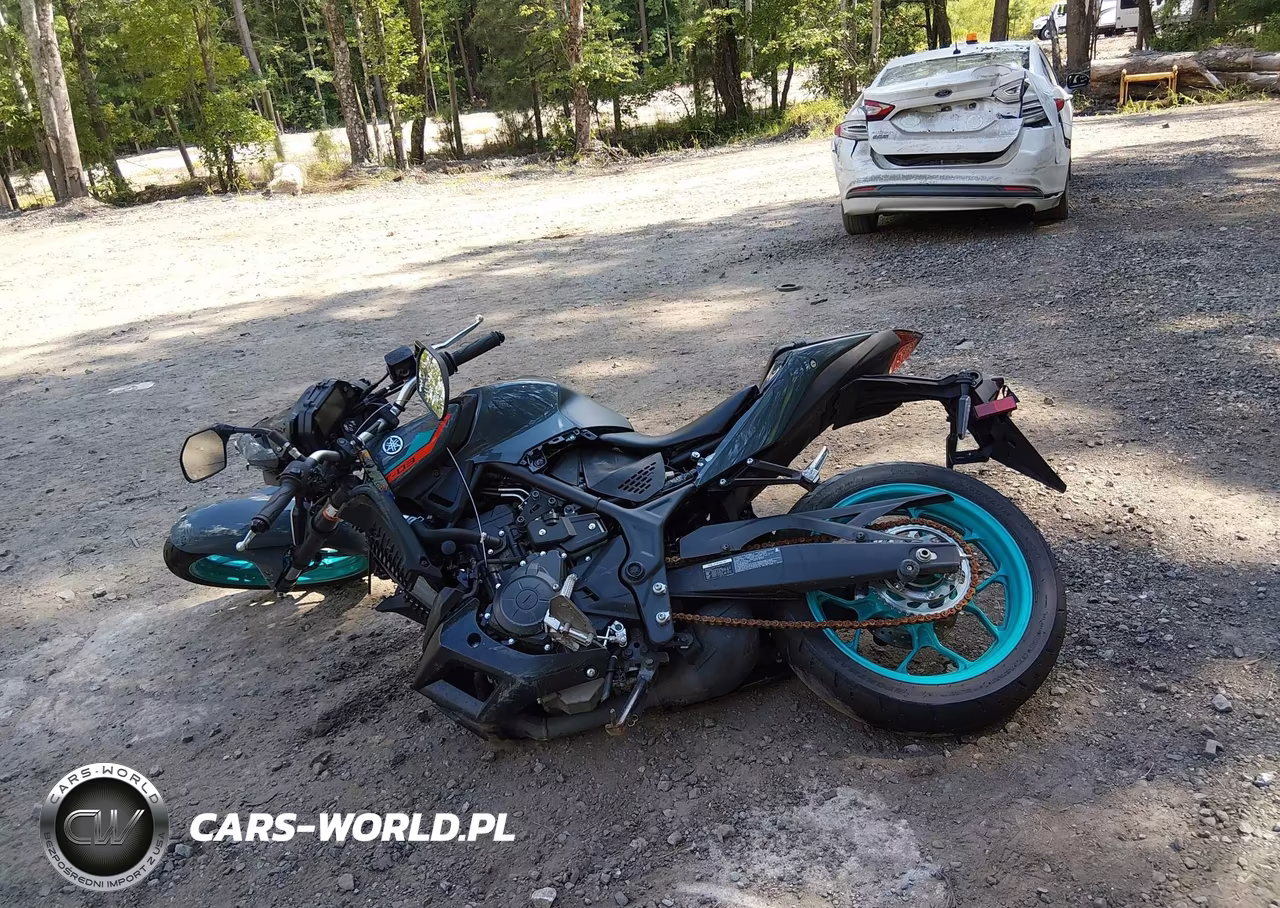 2023 Yamaha Mt-03 VIN:MH3RH20Y1PK009288 - 13