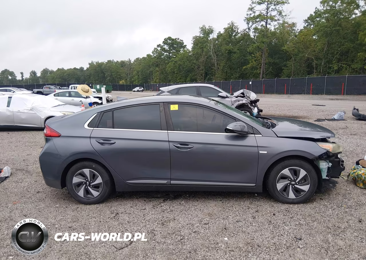 2017 Hyundai Ioniq Hybrid Sel VIN:KMHC75LC8HU021447 - 14