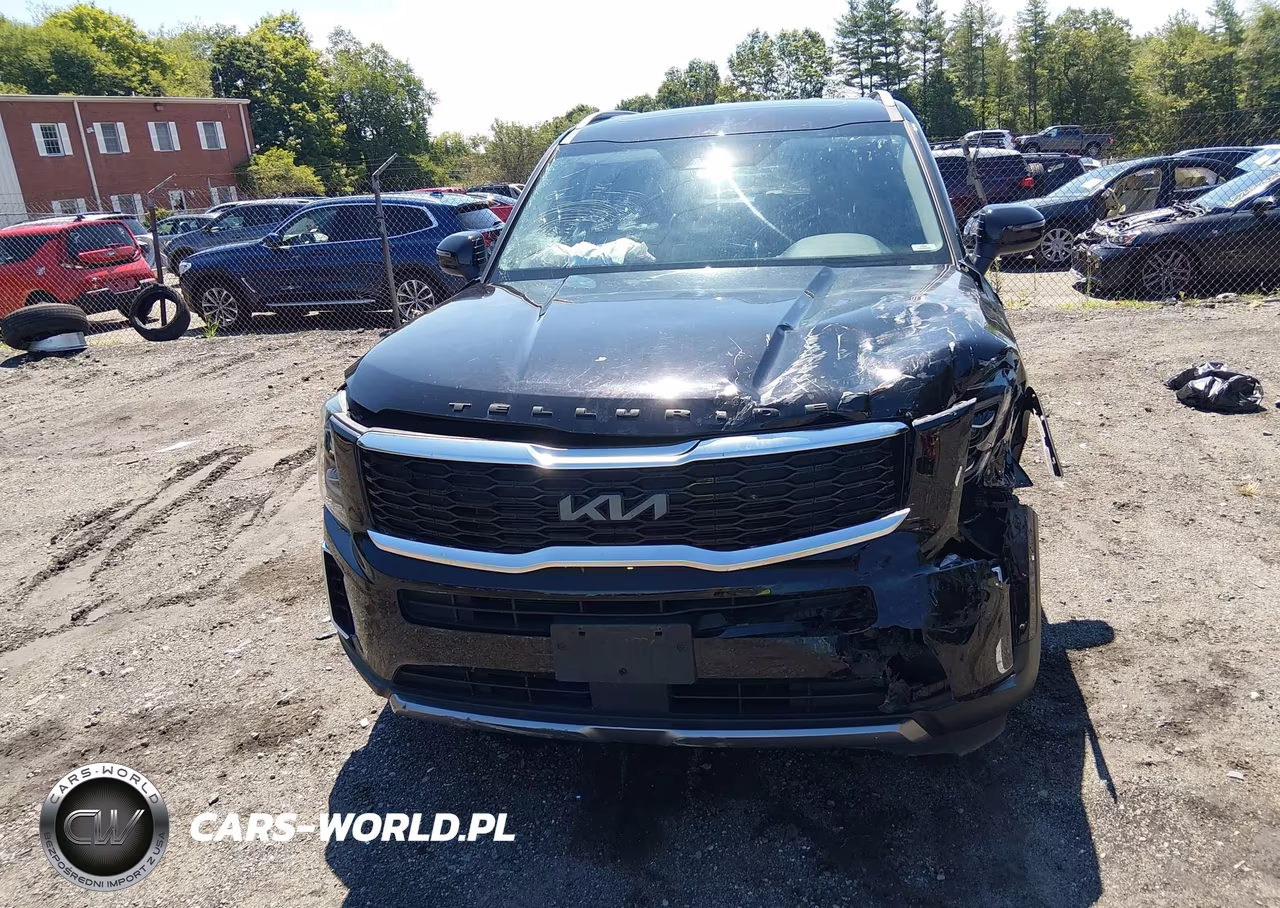 2022 Kia Telluride S VIN:5XYP6DHC0NG201014 - 12