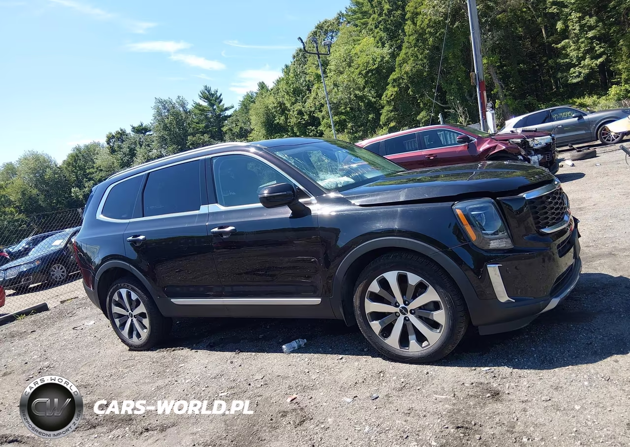 2022 Kia Telluride S VIN:5XYP6DHC0NG201014 - 13