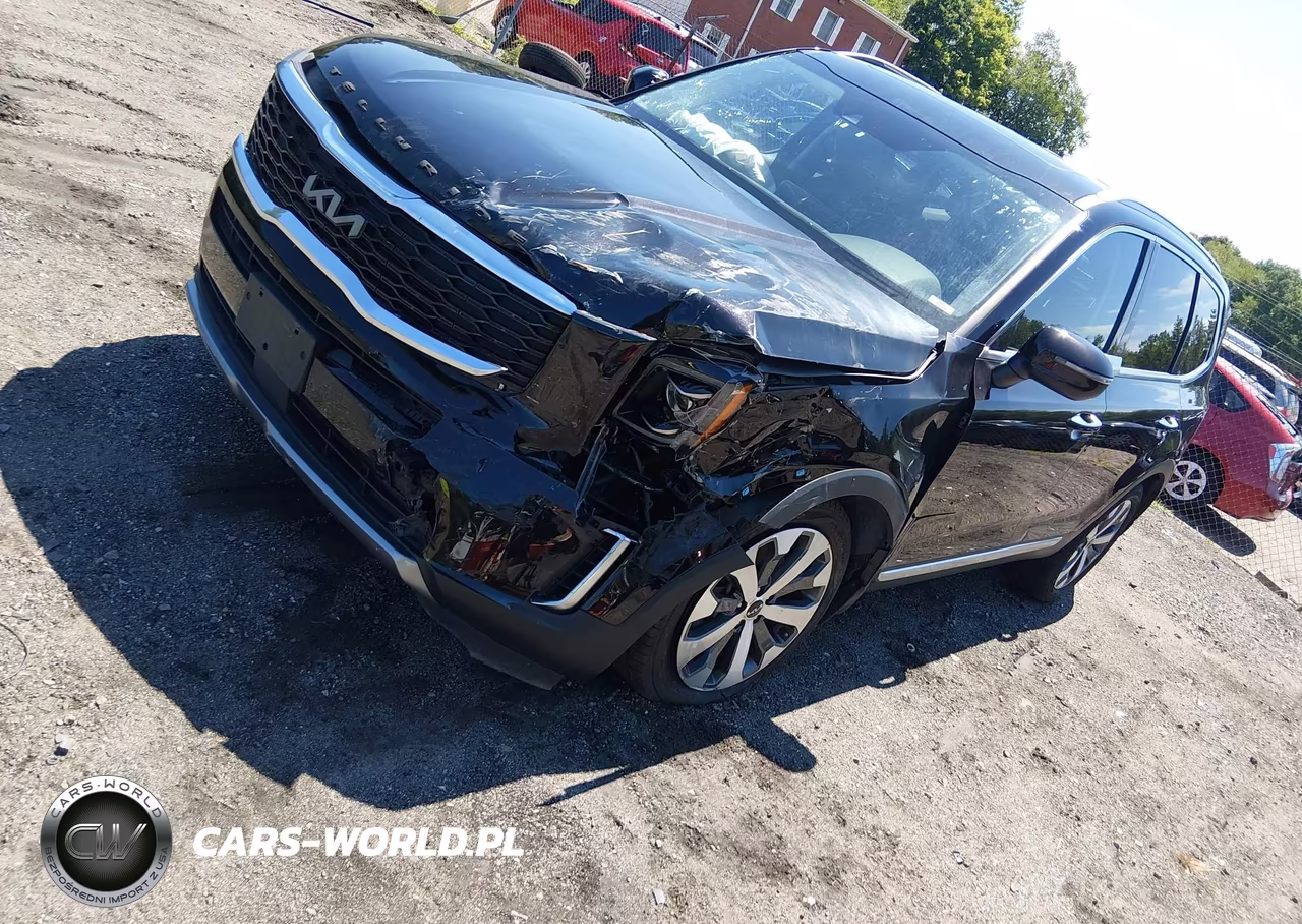 2022 Kia Telluride S VIN:5XYP6DHC0NG201014 - 2