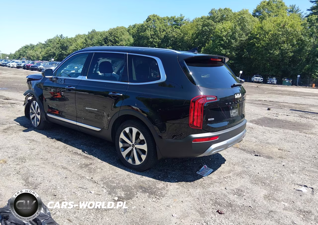 2022 Kia Telluride S VIN:5XYP6DHC0NG201014 - 3