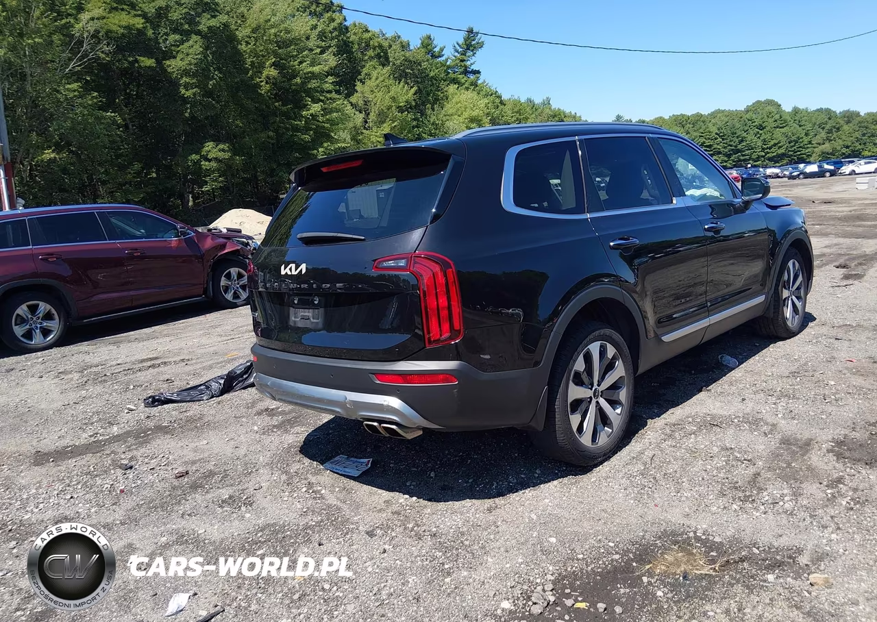 2022 Kia Telluride S VIN:5XYP6DHC0NG201014 - 4