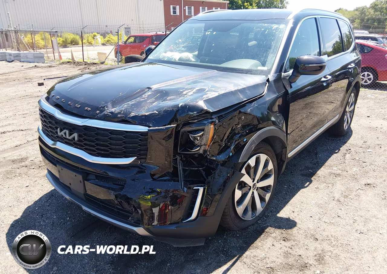 2022 Kia Telluride S VIN:5XYP6DHC0NG201014 - 6