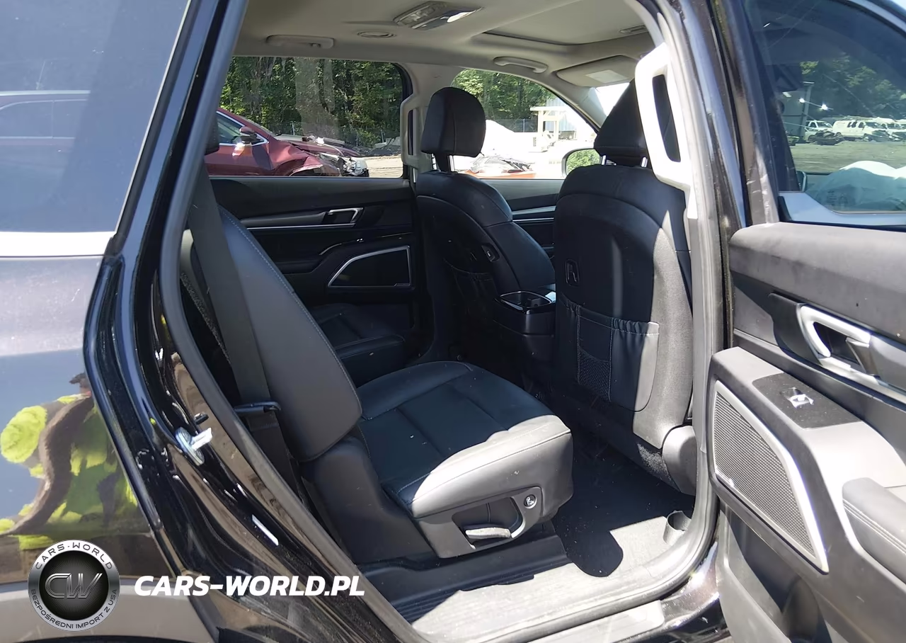 2022 Kia Telluride S VIN:5XYP6DHC0NG201014 - 8