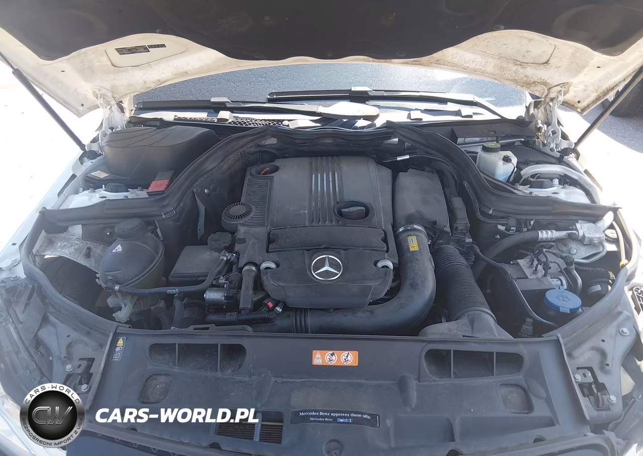 2015 Mercedes-Benz C 250 VIN:WDDGJ4HB9FG357420 - 10