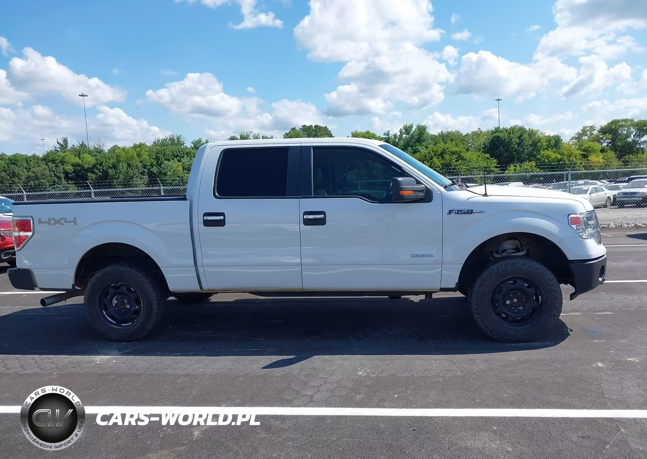 2014 Ford F-150 Xlt VIN:1FTFW1ET4EKG41374 - 13