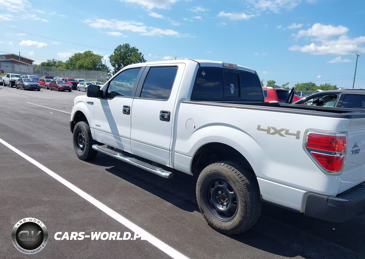 2014 Ford F-150 Xlt VIN:1FTFW1ET4EKG41374 - 14