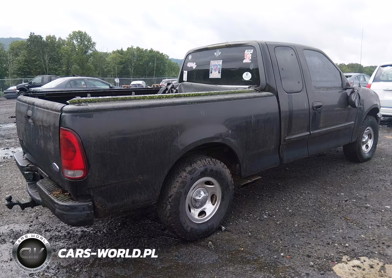 1999 Ford F-150 Lariat-Work Series-Xl-Xlt VIN:1FTRX17W8XNC12631 - 4