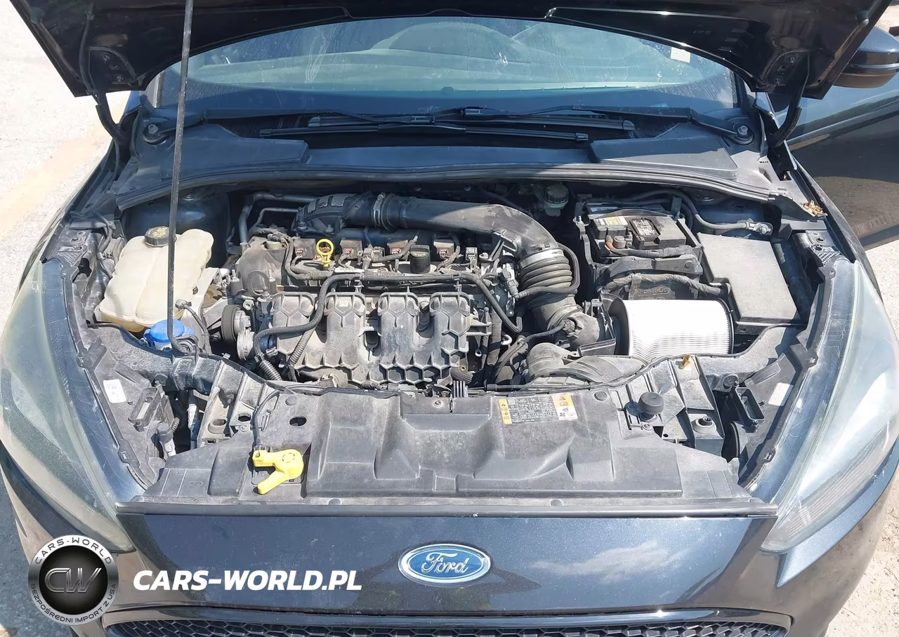 2015 Ford Focus St VIN:1FADP3L98FL240838 - 10