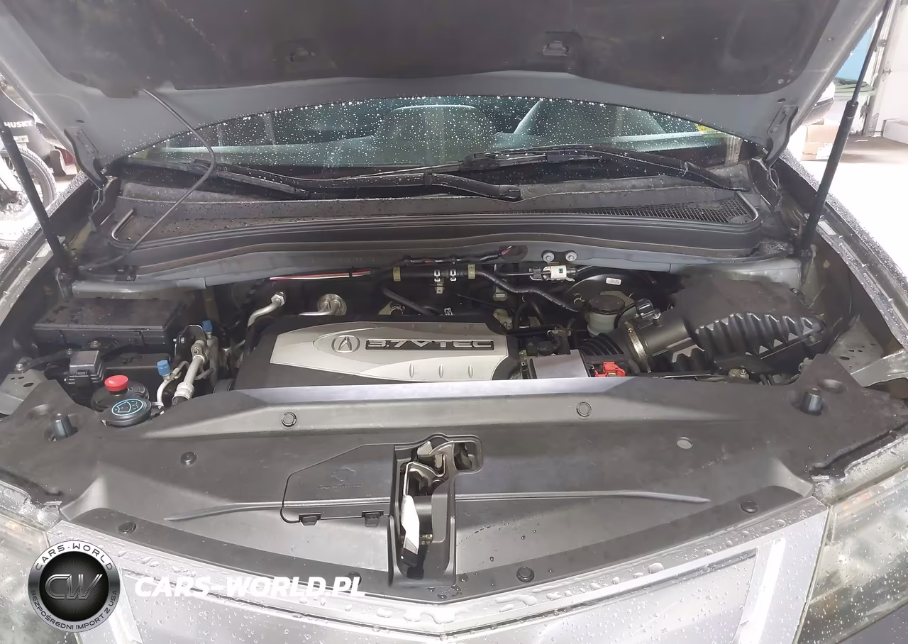 2011 Acura Mdx Advance VIN:2HNYD2H54BH550121 - 10