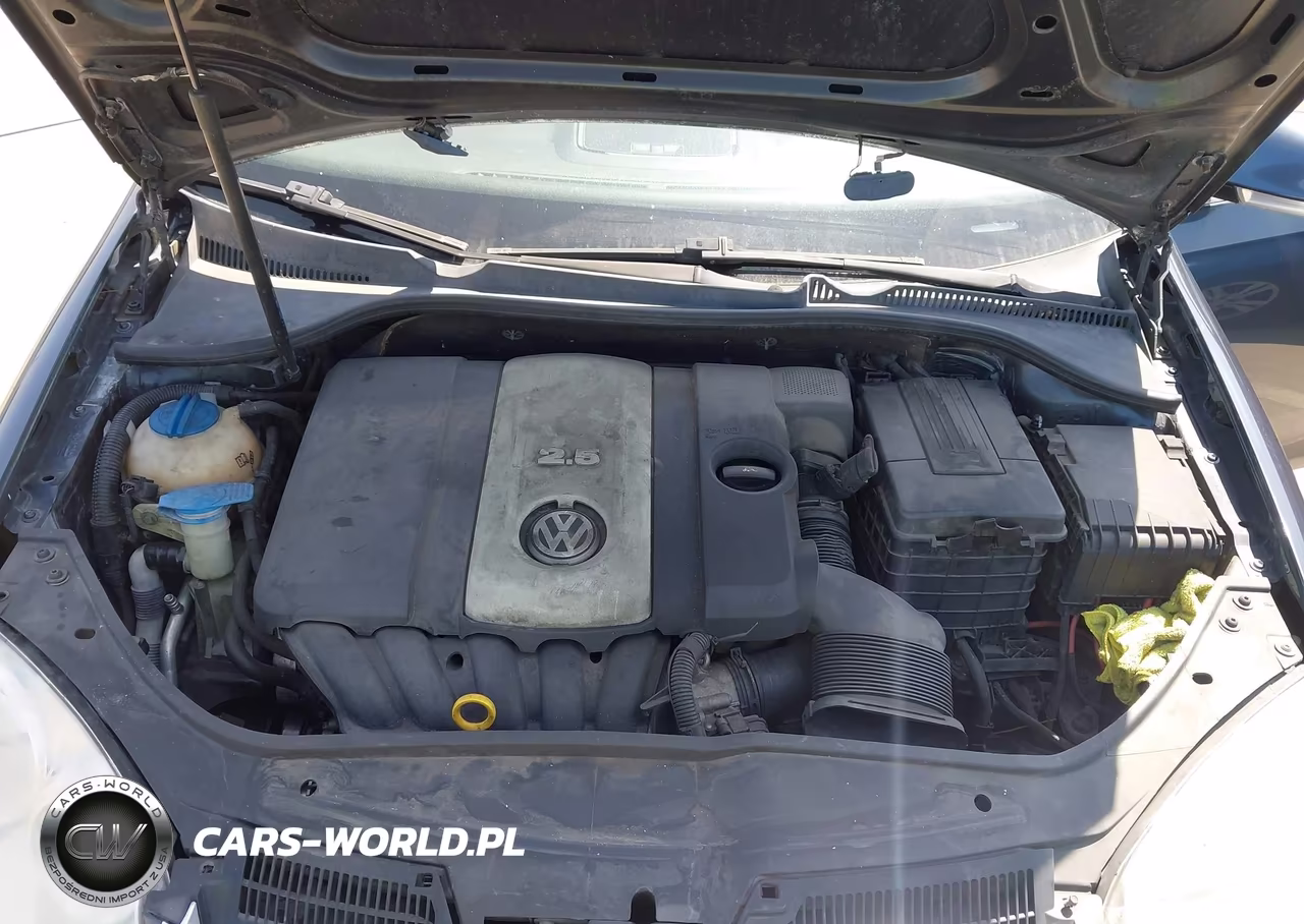 2005 Volkswagen Jetta 2.5 VIN:3VWSG71K65M645668 - 10
