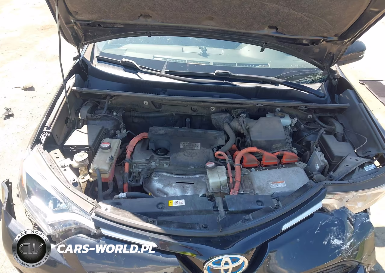 2016 Toyota Rav4 Hybrid Xle VIN:JTMRJREV3GD008478 - 10