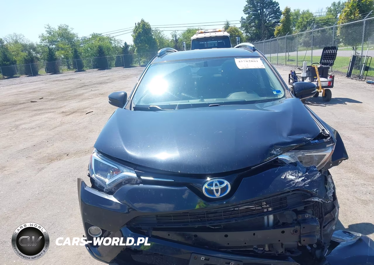 2016 Toyota Rav4 Hybrid Xle VIN:JTMRJREV3GD008478 - 12