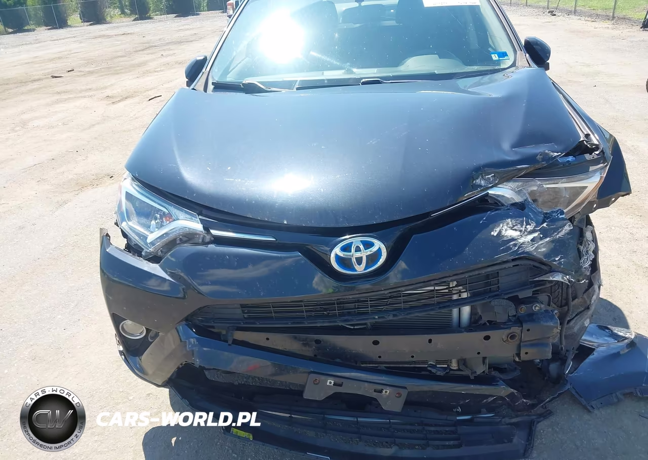 2016 Toyota Rav4 Hybrid Xle VIN:JTMRJREV3GD008478 - 6