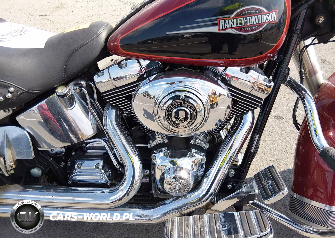 2006 Harley-Davidson Flstci VIN:1HD1BWB156Y042812 - 8