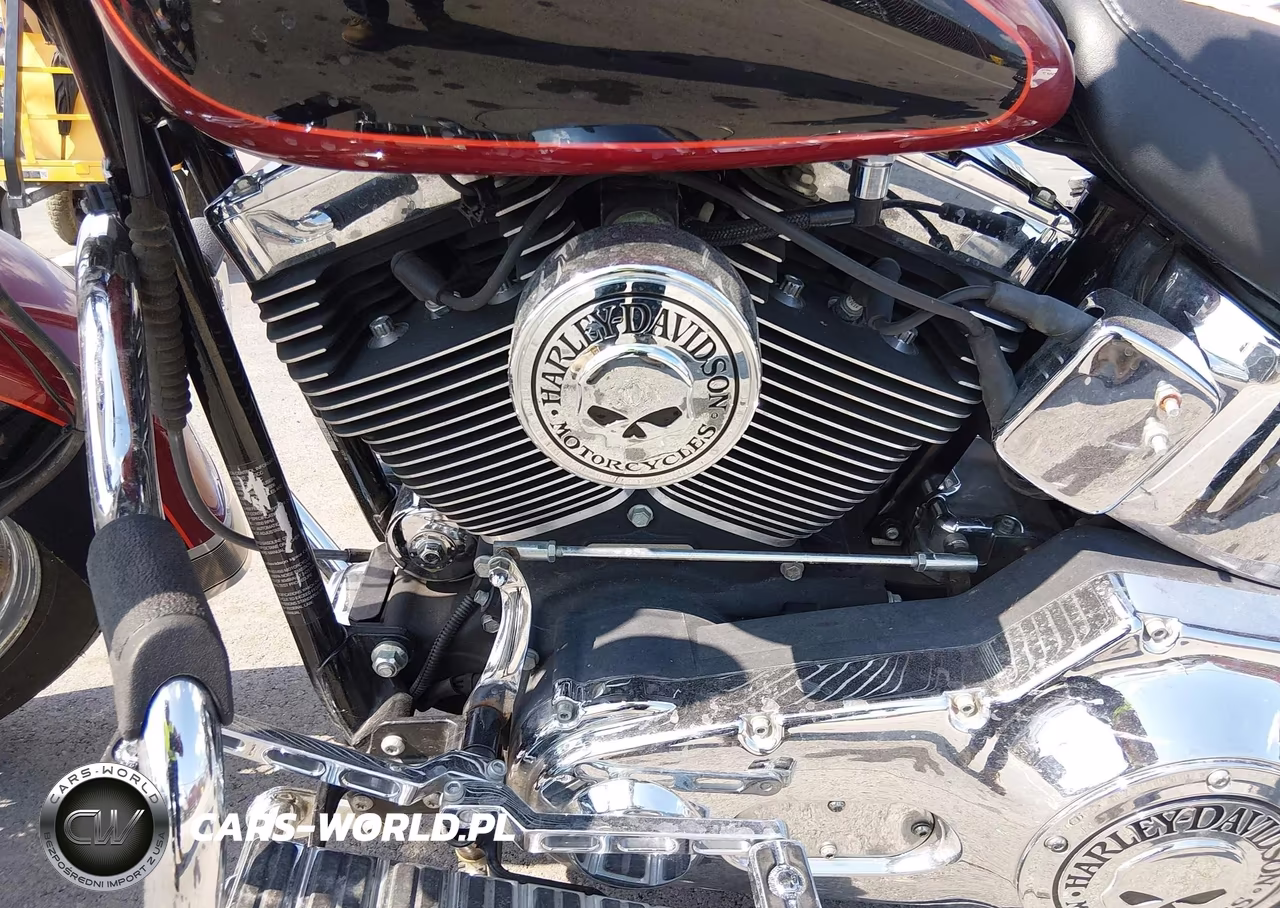 2006 Harley-Davidson Flstci VIN:1HD1BWB156Y042812 - 9
