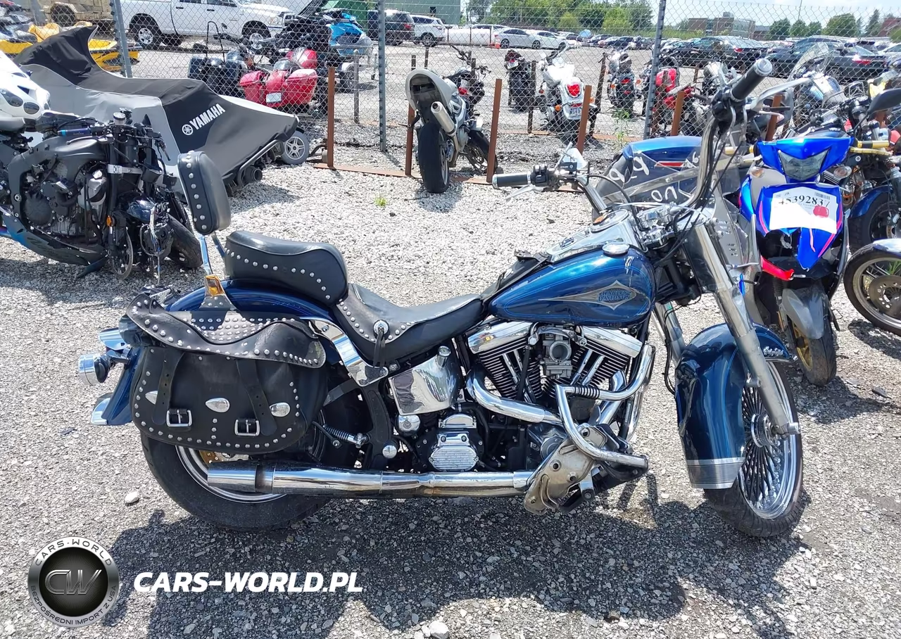 1999 Harley-Davidson Flstc VIN:1HD1BJL49XY044818 - 12