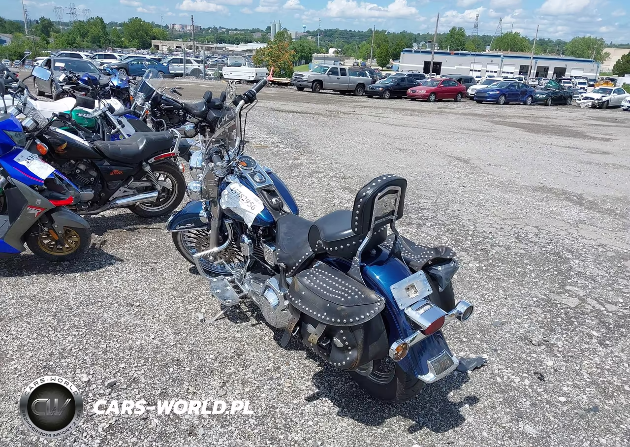 1999 Harley-Davidson Flstc VIN:1HD1BJL49XY044818 - 3