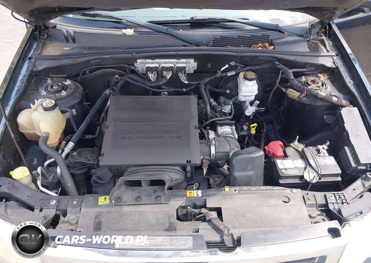 2010 Ford Escape Xlt VIN:1FMCU9DG8AKC97744 - 10