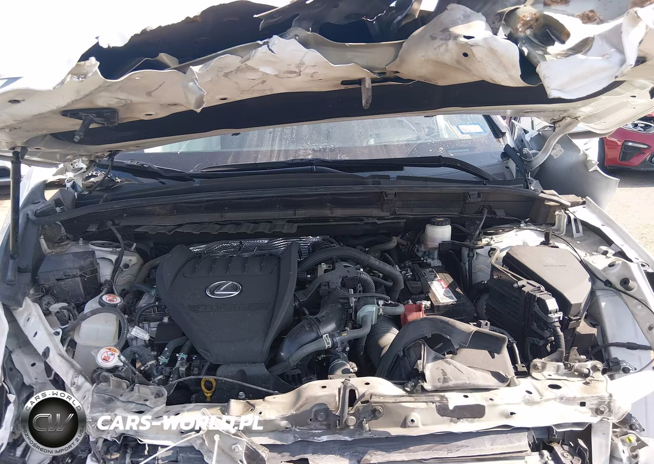 2022 Lexus Nx 350 F Sport Handling VIN:2T2KGCEZ7NC003208 - 10