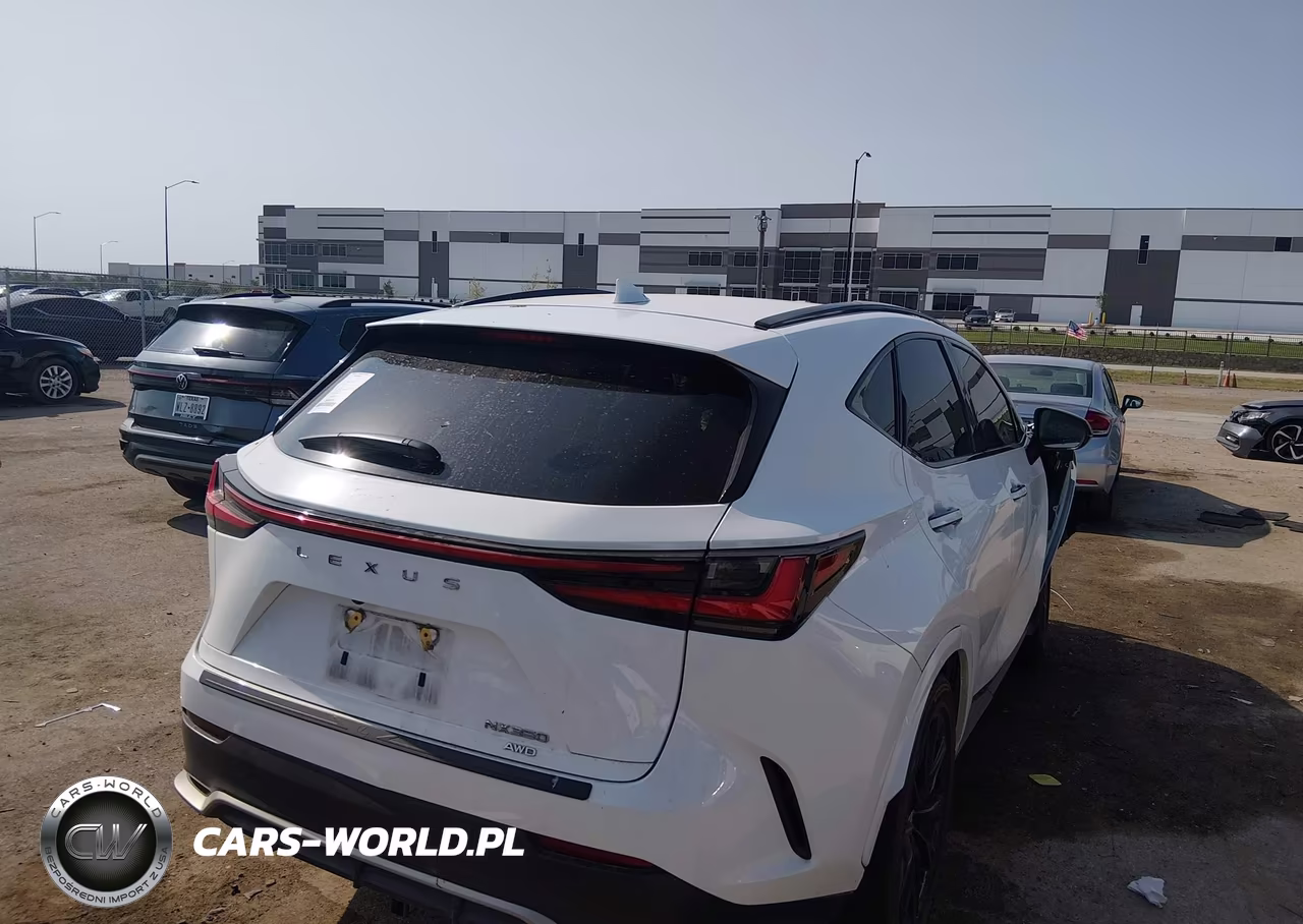 2022 Lexus Nx 350 F Sport Handling VIN:2T2KGCEZ7NC003208 - 4