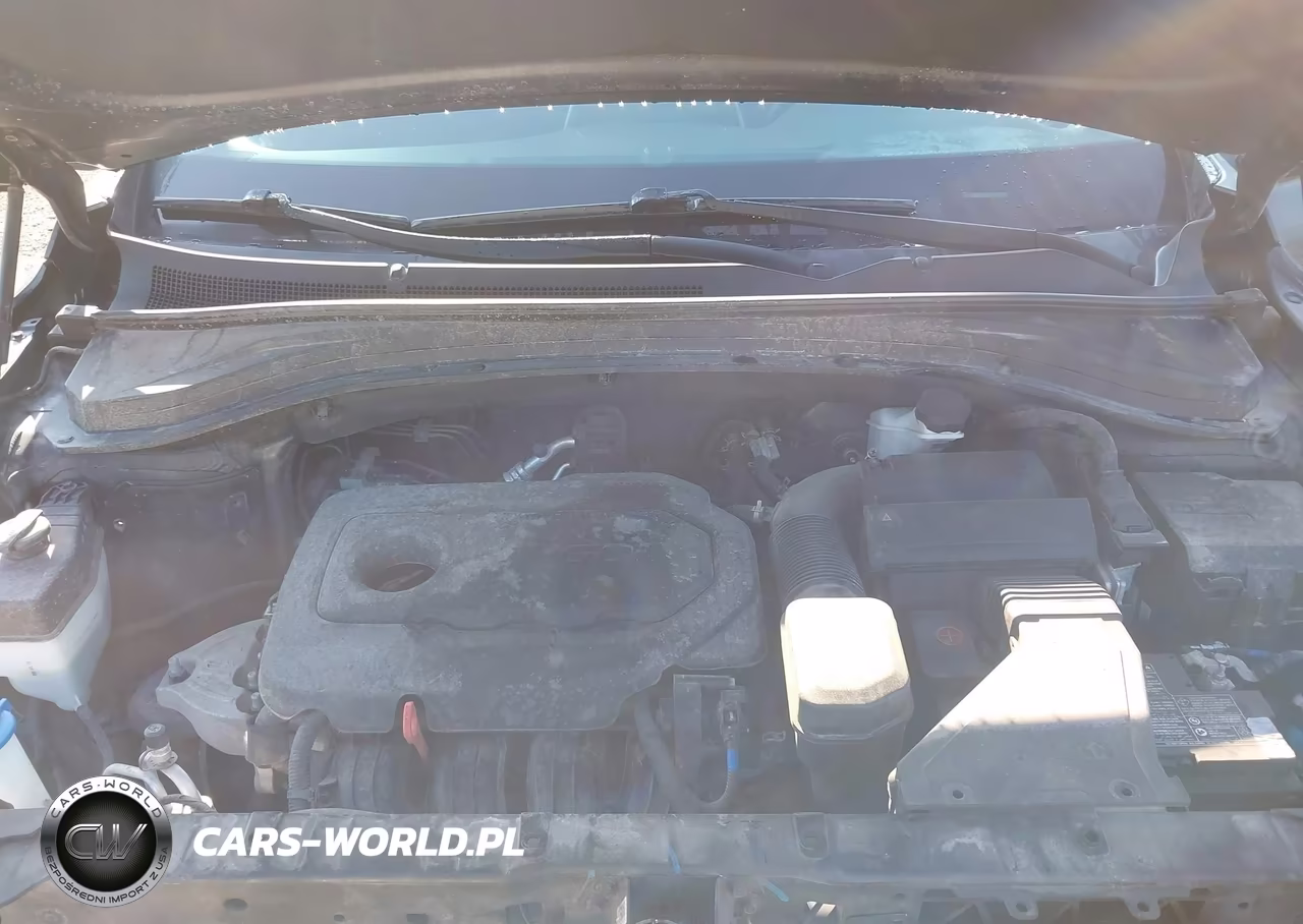 2020 Hyundai Santa Fe Sel VIN:5NMS3CAD0LH238065 - 10