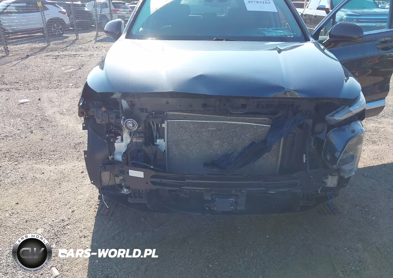 2020 Hyundai Santa Fe Sel VIN:5NMS3CAD0LH238065 - 19