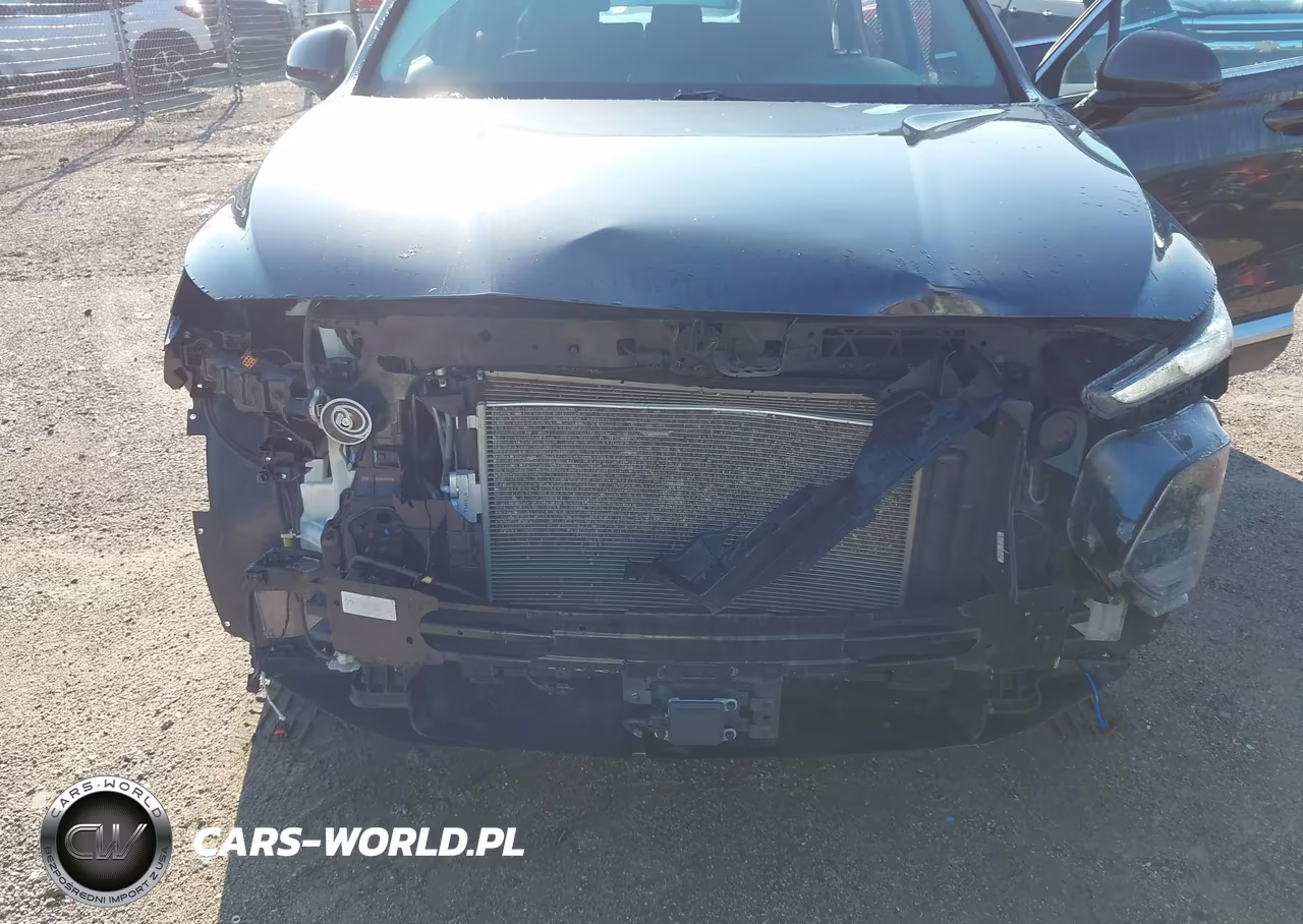 2020 Hyundai Santa Fe Sel VIN:5NMS3CAD0LH238065 - 6