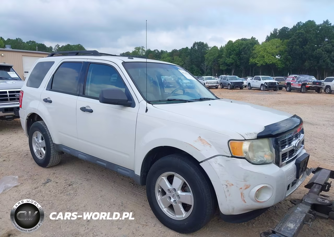 2010 Ford Escape Xlt