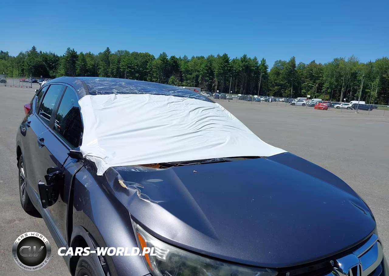 2019 Honda Cr-V Lx VIN:2HKRW6H33KH217135 - 19