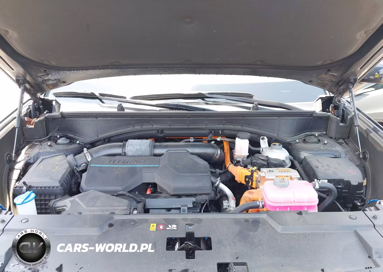 2024 Hyundai Santa Fe Hybrid Limited VIN:5NMP3DG17RH012302 - 10