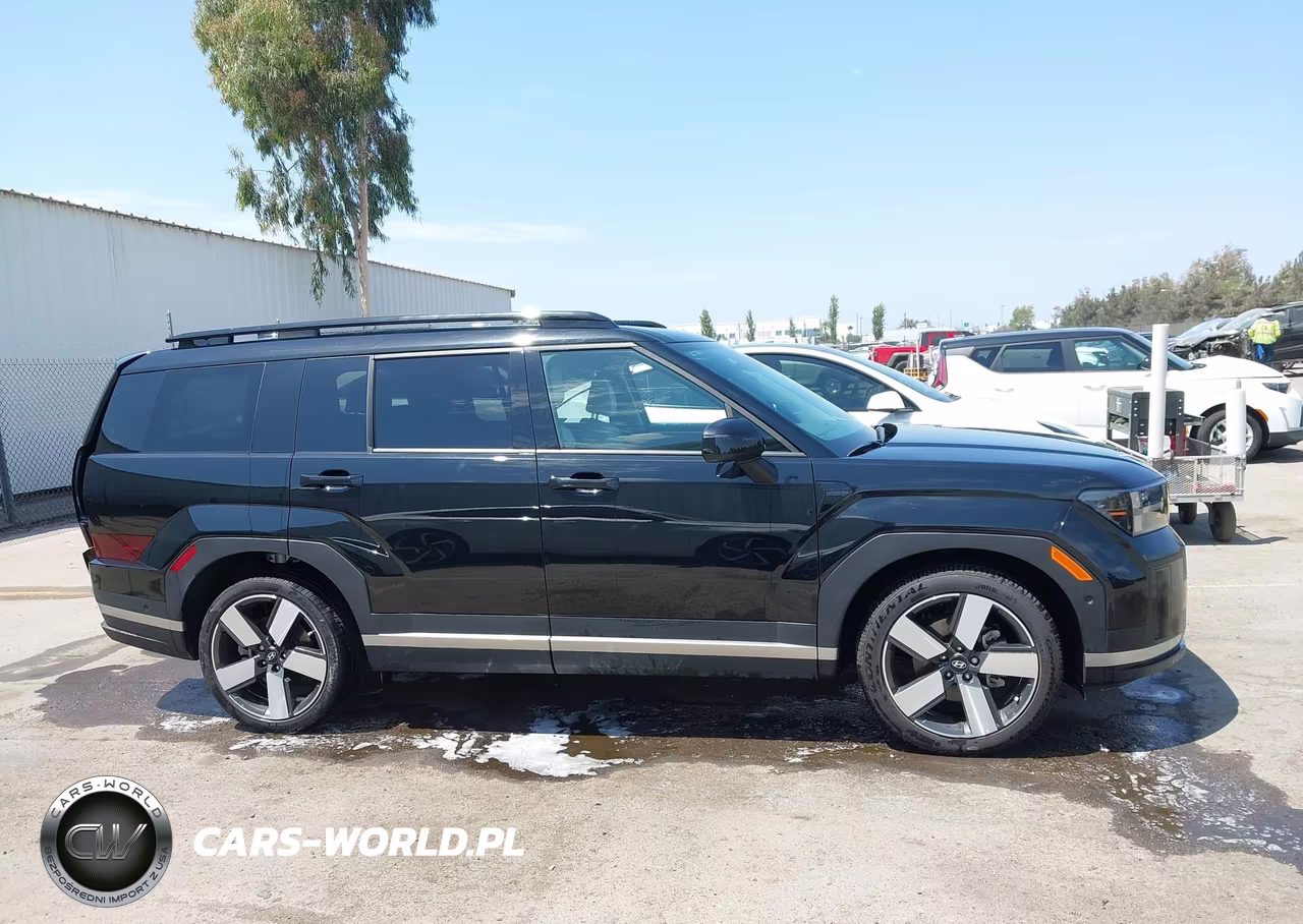 2024 Hyundai Santa Fe Hybrid Limited VIN:5NMP3DG17RH012302 - 13