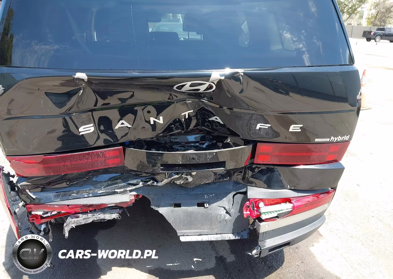 2024 Hyundai Santa Fe Hybrid Limited VIN:5NMP3DG17RH012302 - 6
