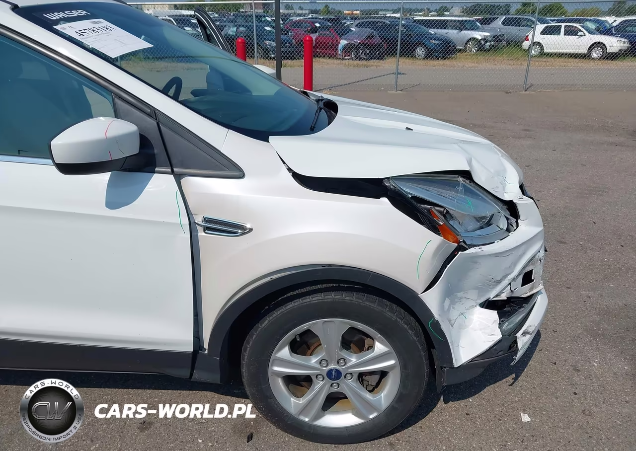 2013 Ford Escape Se VIN:1FMCU9G99DUA02799 - 13