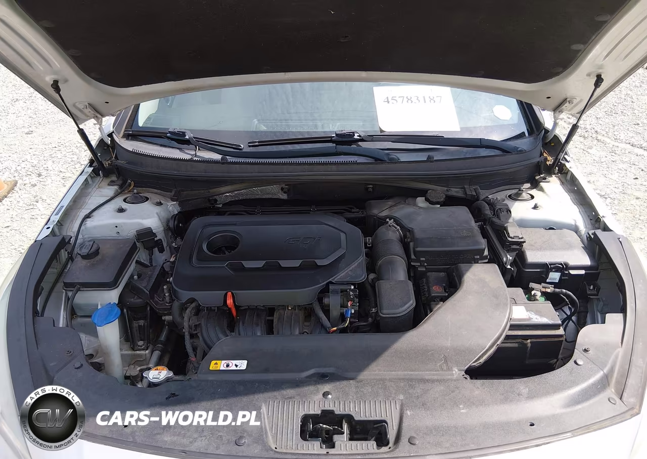 2017 Hyundai Sonata VIN:5NPE24AF3HH461363 - 10