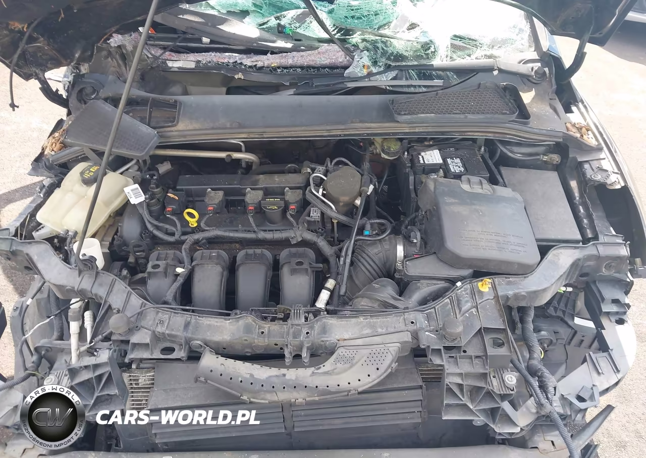 2014 Ford Focus Se VIN:1FADP3F2XEL379432 - 10