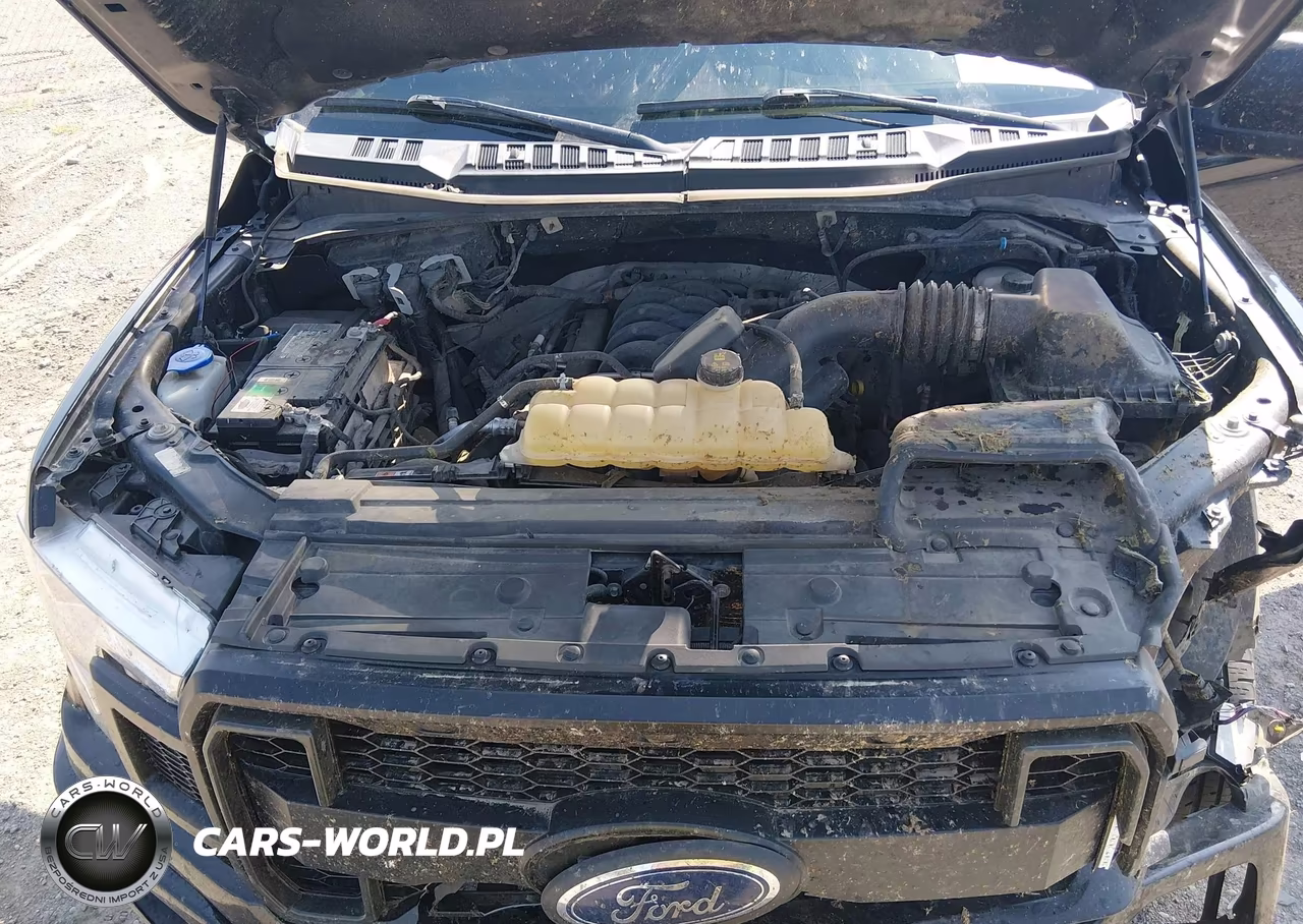 2018 Ford F-150 Platinum VIN:1FTEW1E54JFB35639 - 10