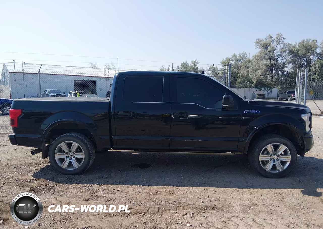 2018 Ford F-150 Platinum VIN:1FTEW1E54JFB35639 - 14