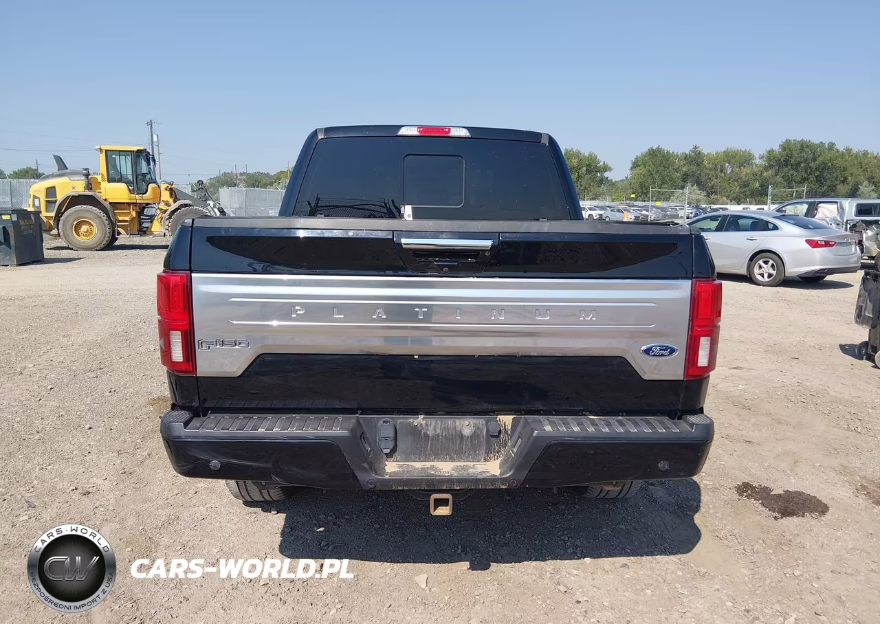 2018 Ford F-150 Platinum VIN:1FTEW1E54JFB35639 - 17
