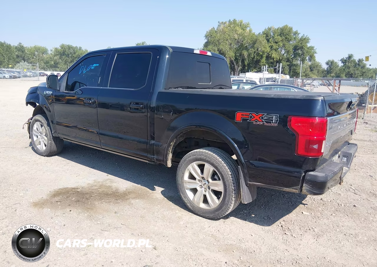 2018 Ford F-150 Platinum VIN:1FTEW1E54JFB35639 - 3