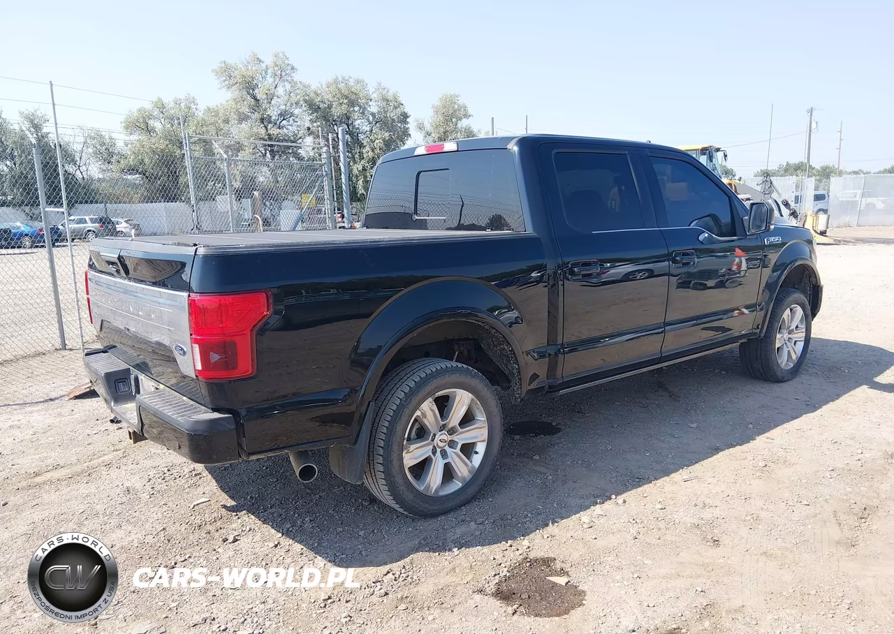 2018 Ford F-150 Platinum VIN:1FTEW1E54JFB35639 - 4