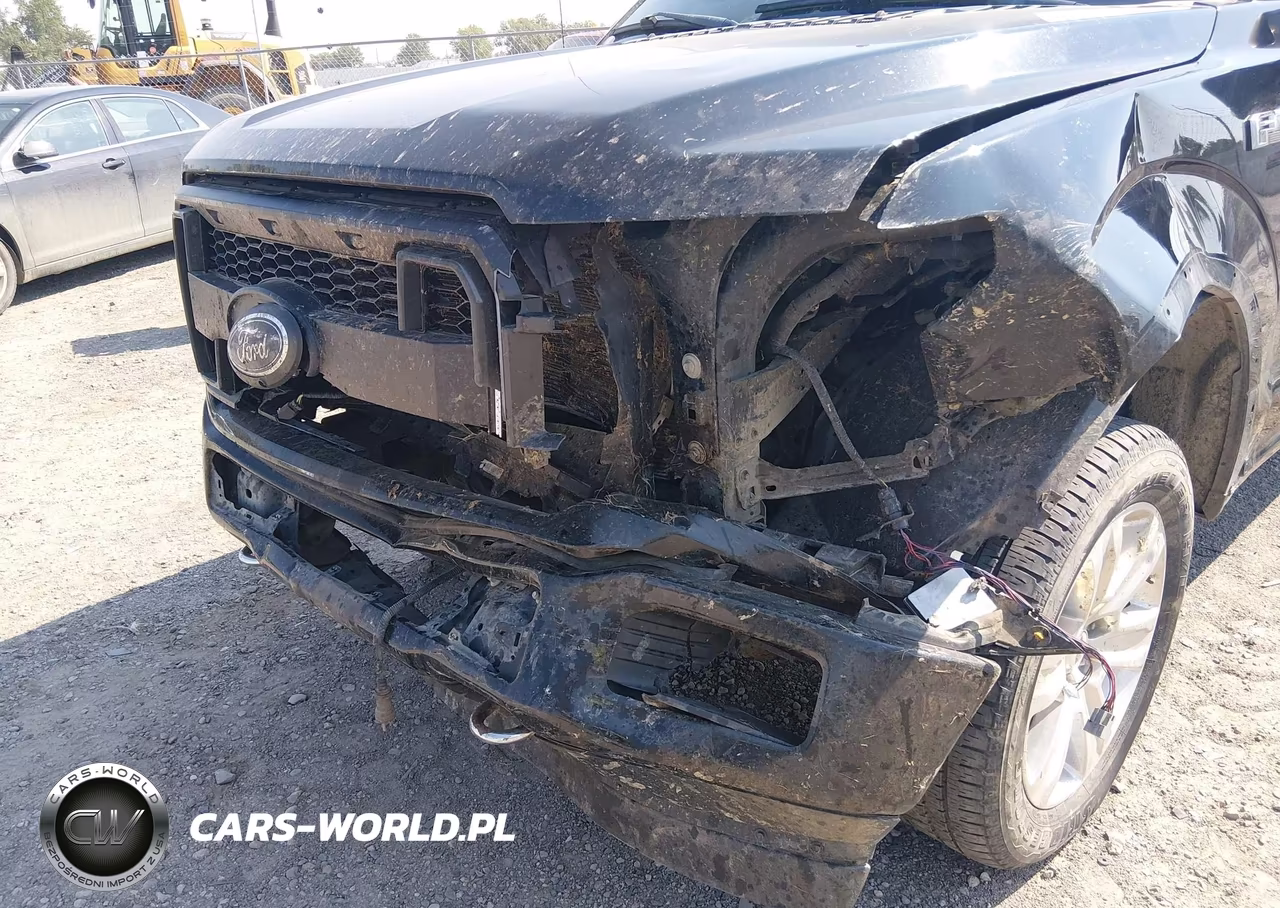 2018 Ford F-150 Platinum VIN:1FTEW1E54JFB35639 - 6