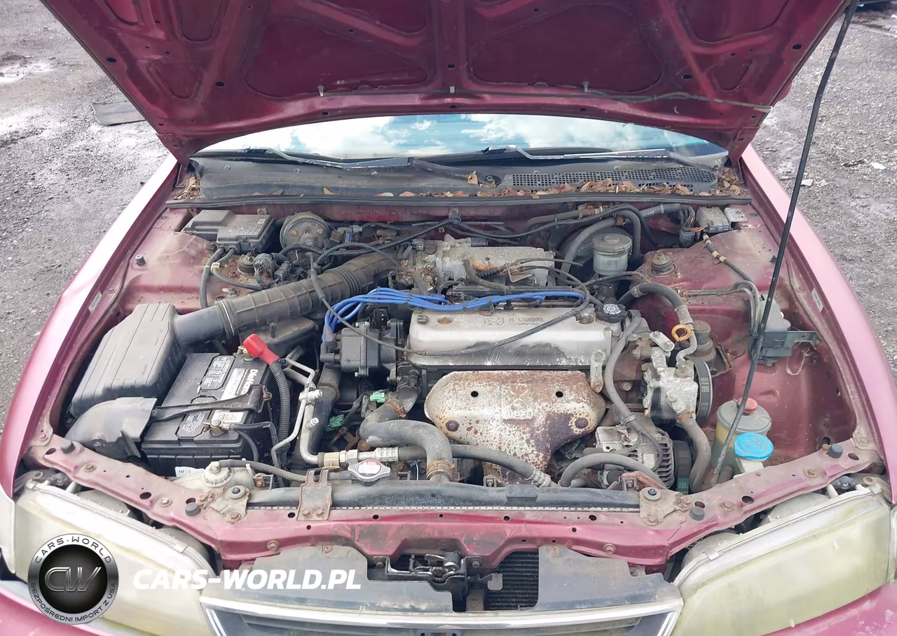 1996 Honda Accord Lx-Ex VIN:1HGCD5634TA291909 - 10
