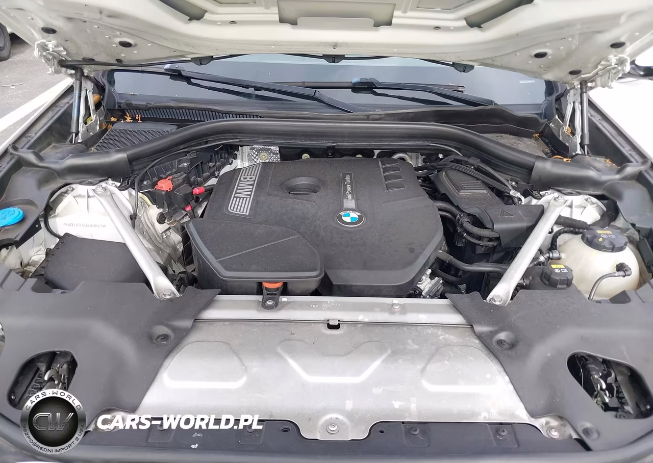 2019 BMW X3 Sdrive30I VIN:5UXTR7C54KLR50543 - 10